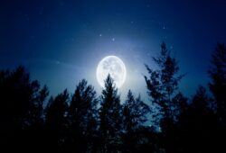 満月の光で心とエネルギーを浄化する方法